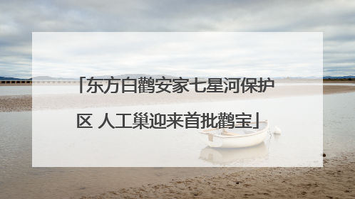 东方白鹳安家七星河保护区 人工巢迎来首批鹳宝