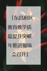 东昌府区教育教学质量提升突破年推进现场会召开