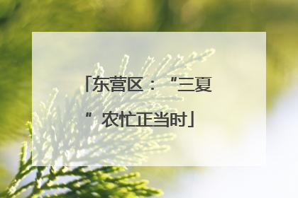 东营区：“三夏”农忙正当时