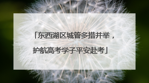 东西湖区城管多措并举，护航高考学子平安赴考