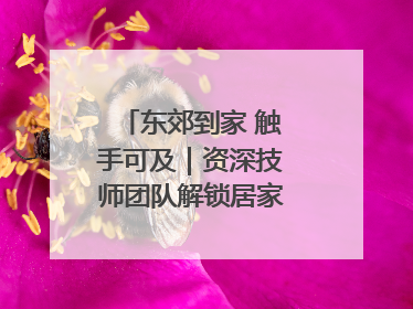 东郊到家 触手可及｜资深技师团队解锁居家养生新体验