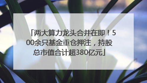 两大算力龙头合并在即！500余只基金重仓押注，持股总市值合计超380亿元