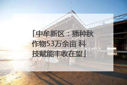 中牟新区：播种秋作物53万余亩 科技赋能丰收在望