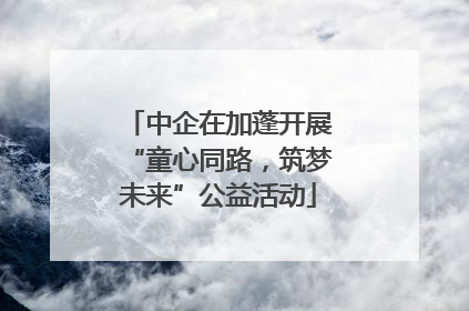 中企在加蓬开展“童心同路，筑梦未来”公益活动