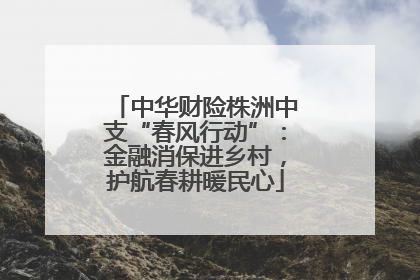 中华财险株洲中支“春风行动”：金融消保进乡村，护航春耕暖民心