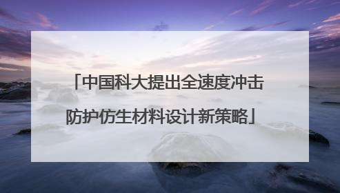 中国科大提出全速度冲击防护仿生材料设计新策略
