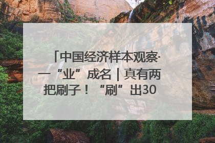 中国经济样本观察·一“业”成名｜真有两把刷子！“刷”出30亿级“颜值经济”