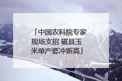 中国农科院专家现场支招 磁县玉米单产要冲新高