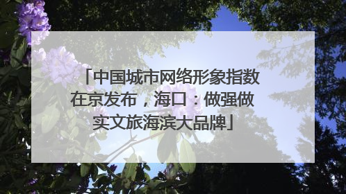 中国城市网络形象指数在京发布，海口：做强做实文旅海滨大品牌