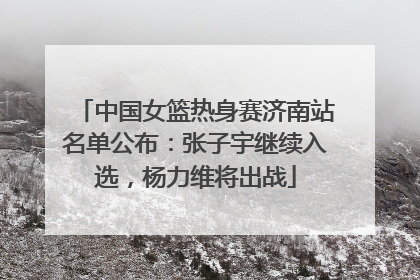中国女篮热身赛济南站名单公布：张子宇继续入选，杨力维将出战
