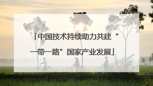 中国技术持续助力共建“一带一路”国家产业发展