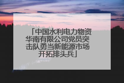 中国水利电力物资华南有限公司党员突击队勇当新能源市场开拓排头兵