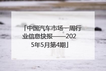 中国汽车市场一周行业信息快报——2025年5月第4期