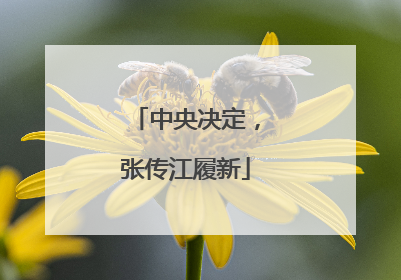 中央决定，张传江履新