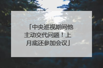 中央巡视期间他主动交代问题！上月底还参加会议