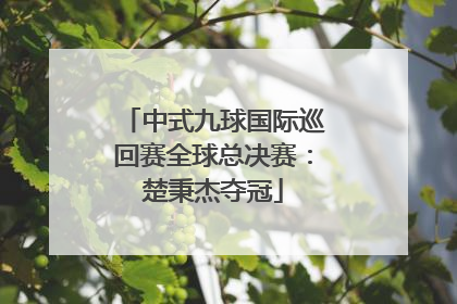 中式九球国际巡回赛全球总决赛：楚秉杰夺冠