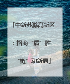 中新苏滁高新区：招商“质”胜 “链”动新局