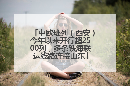 中欧班列（西安）今年以来开行超2500列，多条铁海联运线路连接山东