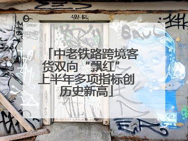 中老铁路跨境客货双向“飘红” 上半年多项指标创历史新高
