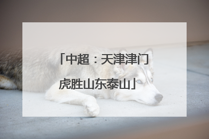 中超：天津津门虎胜山东泰山