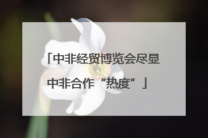 中非经贸博览会尽显中非合作“热度”