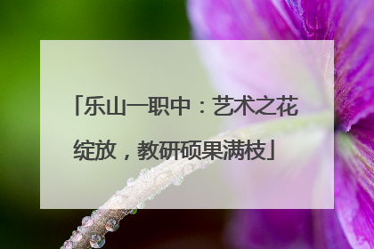 乐山一职中：艺术之花绽放，教研硕果满枝