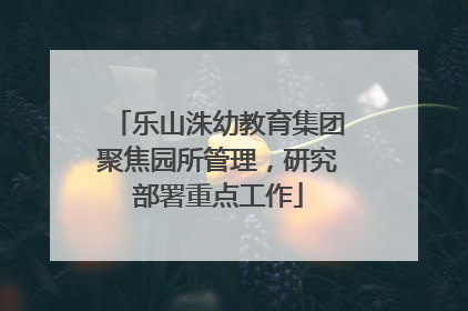 乐山洙幼教育集团聚焦园所管理，研究部署重点工作