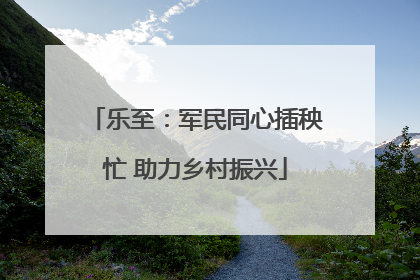 乐至：军民同心插秧忙 助力乡村振兴