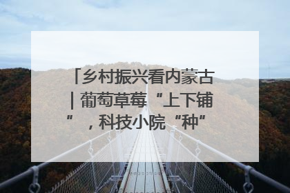 乡村振兴看内蒙古｜葡萄草莓“上下铺”，科技小院“种”出三倍效益