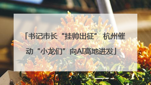 书记市长“挂帅出征” 杭州催动“小龙们”向AI高地进发