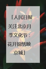人民日报关注北京月季文化节：花开锦绣映京城