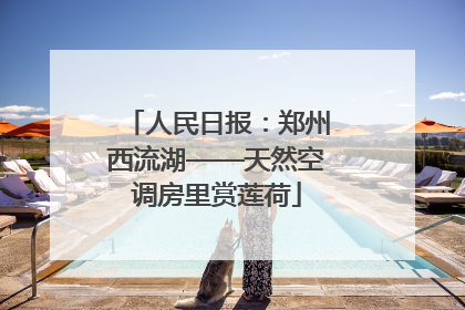 人民日报：郑州西流湖——天然空调房里赏莲荷