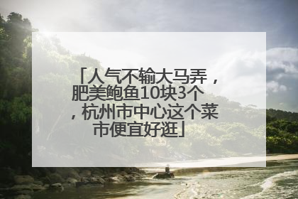 人气不输大马弄，肥美鲍鱼10块3个，杭州市中心这个菜市便宜好逛