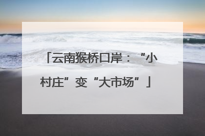云南猴桥口岸：“小村庄”变“大市场”