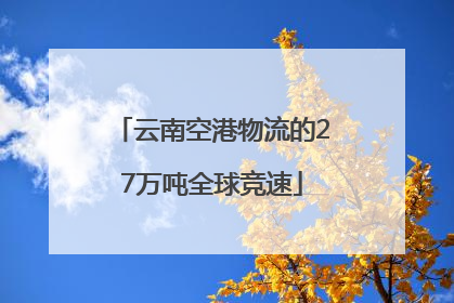 云南空港物流的27万吨全球竞速