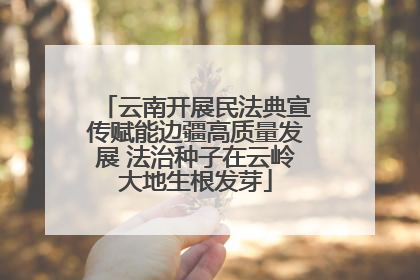 云南开展民法典宣传赋能边疆高质量发展 法治种子在云岭大地生根发芽
