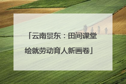 云南景东：田间课堂绘就劳动育人新画卷
