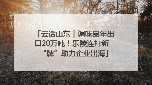 云话山东｜调味品年出口20万吨！乐陵连打新“牌”助力企业出海