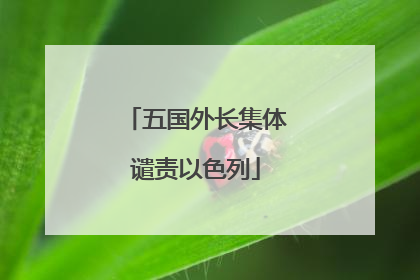 五国外长集体谴责以色列