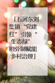 五河东刘集镇“党建红”引领“生态绿” 积分制赋能乡村治理