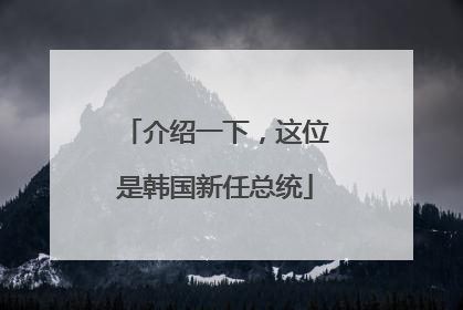 介绍一下，这位是韩国新任总统