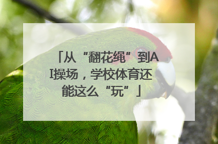 从“翻花绳”到AI操场，学校体育还能这么“玩”