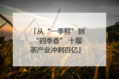 从“一季鲜”到“四季香” 十堰茶产业冲刺百亿