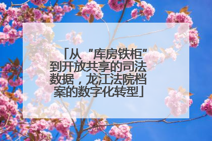 从“库房铁柜”到开放共享的司法数据，龙江法院档案的数字化转型