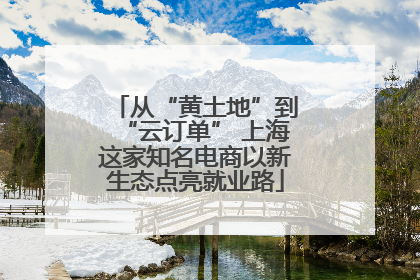 从“黄土地”到“云订单” 上海这家知名电商以新生态点亮就业路