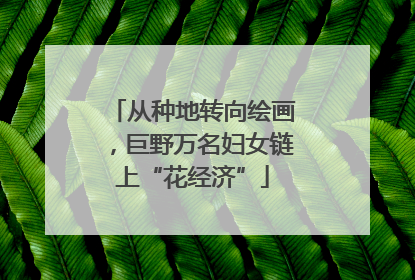 从种地转向绘画，巨野万名妇女链上“花经济”