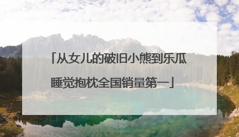 从女儿的破旧小熊到乐瓜睡觉抱枕全国销量第一