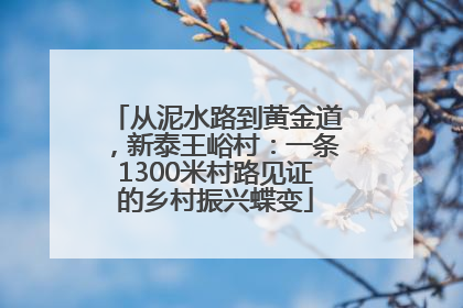从泥水路到黄金道，新泰王峪村：一条1300米村路见证的乡村振兴蝶变