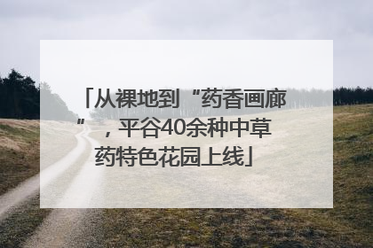 从裸地到“药香画廊”，平谷40余种中草药特色花园上线