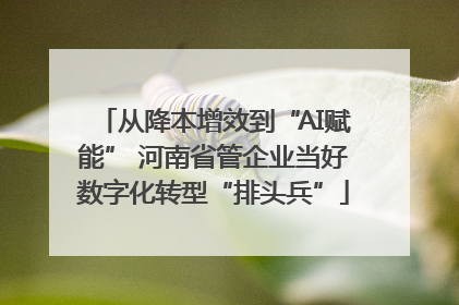 从降本增效到“AI赋能” 河南省管企业当好数字化转型“排头兵”